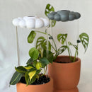 Cloud Dripper for Plants