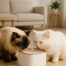 Fonte Purificadora Capri