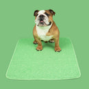 Potty Buddy™ - The Durable Leak-Free Potty Pad