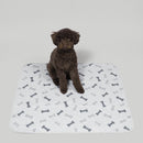 Potty Buddy™ - The Durable Leak-Free Potty Pad