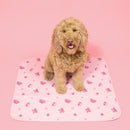 Potty Buddy™ - The Durable Leak-Free Potty Pad