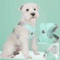 Conjunto de Colete Peitoral X-Comfort - Seu Cão Seguro