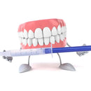 Professional Laser Teeth Whitening Kit