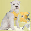 Conjunto de Colete Peitoral X-Comfort - Seu Cão Seguro
