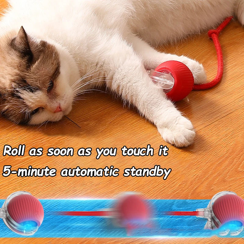 Brinquedo interativo para Gatos