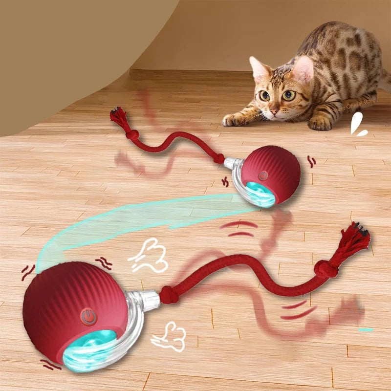 Brinquedo interativo para Gatos