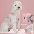 Conjunto de Colete Peitoral X-Comfort - Seu Cão Seguro