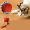 Brinquedo interativo para Gatos