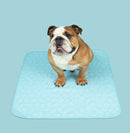 Potty Buddy™ - The Durable Leak-Free Potty Pad