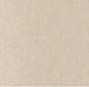 Anti-scratch carpet for sofas and furniture